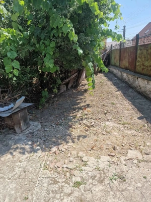 Casa de vanzare aproape de strand termal și centru Deta  la 45 km de Timisoara - imagine 9