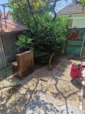 Casa de vanzare aproape de strand termal și centru Deta  la 45 km de Timisoara - imagine 10