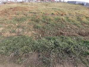 La asfalt. Toate Utilitatile