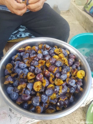 magiun, gem prune  - imagine 5