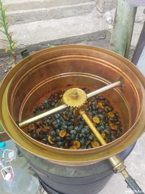 magiun, gem prune  - imagine 4