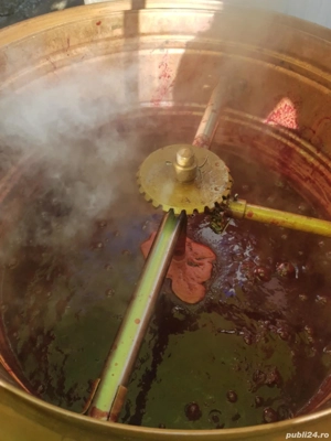 magiun, gem prune  - imagine 2