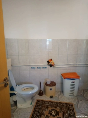 Vind casa la tara - imagine 10 Vind casa la tara - imagine 10