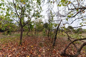 Urseni – Vatra Veche | Teren 1.439 mp + casa locuibila | Comision 0% - imagine 20