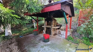 Tur LIVE!Casa cu arhitectura traditionala, curte spatioasa,foisor,Rucar-Bran - imagine 3