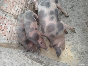 de vanzare - imagine 3