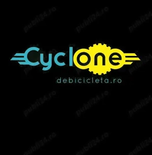 Oportunitate de investitie: Firma online cu extindere rapida, integrare marketplace si tehnologie AI