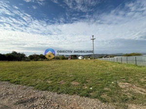 Teren de vânzare 1800 mp – Dumbrava Roșie - imagine 5 Teren de vânzare 1800 mp – Dumbrava Roșie - imagine 5