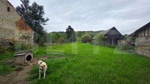 Casa de vanzare, cu 4 camere, 80 mp, satul Dorolea - imagine 3