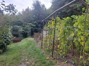 Casă de vânzare – Colonia 1 Mai 65.000 EURO - imagine 13
