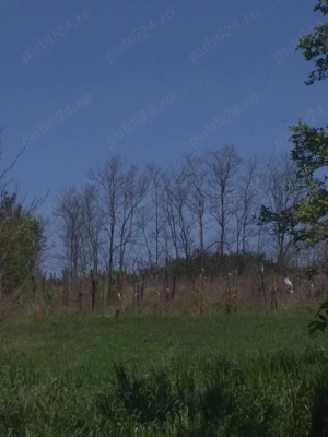 Casa de vânzare  - imagine 4