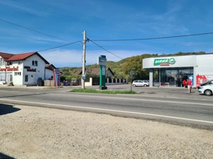 Teren intravilan de vanzare - Copacelu - imagine 7