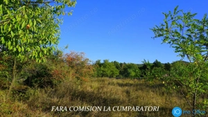 BUDESTI, TEREN 1000 MP, PRIVELISTE MINUNATA - imagine 4