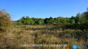 BUDESTI, TEREN 1000 MP, PRIVELISTE MINUNATA - imagine 5