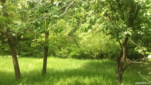 Teren Valea Mare Pravat - imagine 3