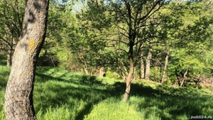 Teren Valea Mare Pravat - imagine 7