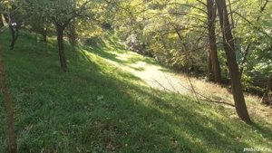 Teren Valea Mare Pravat - imagine 4