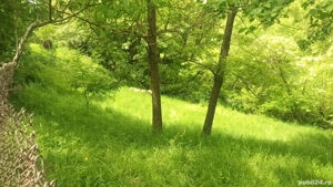 Teren Valea Mare Pravat - imagine 6