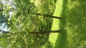 Teren Valea Mare Pravat - imagine 5