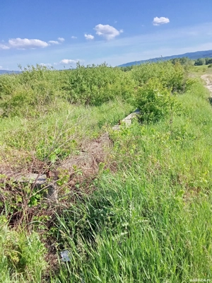 vand teren spre mintele mic  - imagine 4