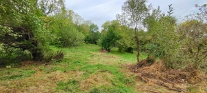 Vând teren intravilan Bughea de jos Ciopățești - imagine 6