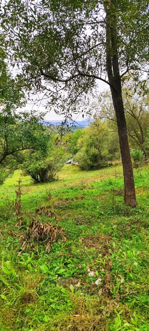 Vând teren intravilan Bughea de jos Ciopățești - imagine 11