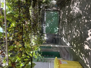 Casa de vânzare în Sannicolaul Mare - imagine 2