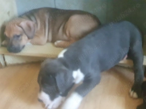 Cusca iata de trasport