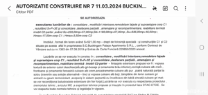 Vind vila 1200 mp 29 de apartamente fiecare cu baie,la 1.150.000 euro foarte superba 1000 euro met - imagine 2 Vind vila 1200 mp 29 de apartamente fiecare cu baie,la 1.150.000 euro foarte superba 1000 euro met - imagine 2