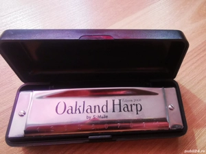 Muzicuta diatonica 2008 "Oakland harp