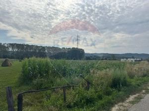 Teren de vânzare – Valea Bradului, oportunitate de investiție!