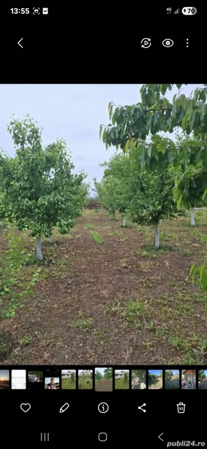 vanzare teren - imagine 3