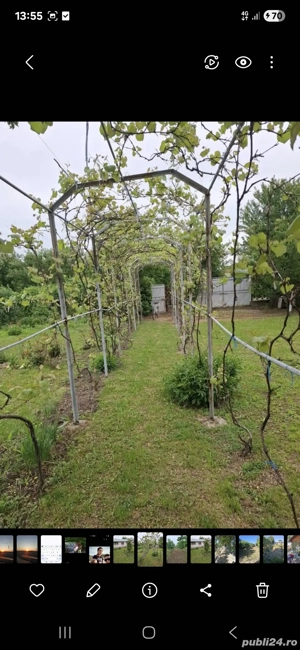 vanzare teren - imagine 8
