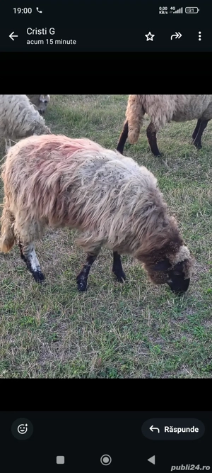 vând o melute din februarie 