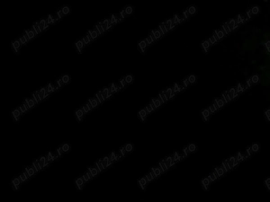 Angajez Frizer Frizeriță Barbershop modern