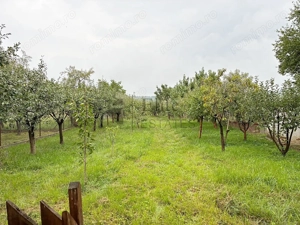 Casa noua cu livada de vanzare in Betfia, Bihor - imagine 4