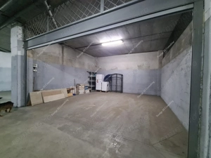 Penthouse Central 180 mp pet-friendly cu Vedere Panoramica si Garaj dublu - imagine 17