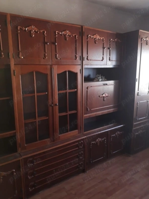 Vand camera camin C5, Strada Putnei - imagine 4