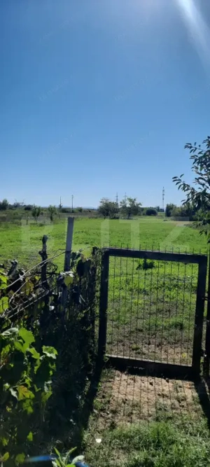 Casa de vanzare, 176mp utili, zona Balta Blonda - imagine 14
