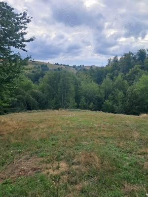 Vând Teren +Casa Valea Tarnei Sinteu 7.5 H