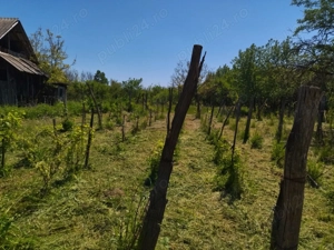 Vând casa batraneasca cu anexe si teren generos - imagine 3