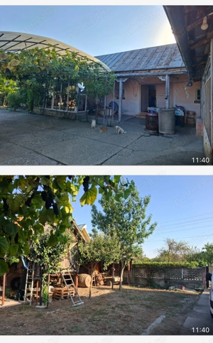 Gospodărie superbă cu 3 dormitoare 2 băi si gradina - imagine 8