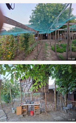 Gospodărie superbă cu 3 dormitoare 2 băi si gradina - imagine 10