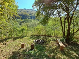 Vand cabana Valea Ariesului - imagine 10