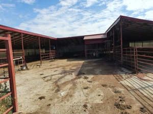Vând fermă zootehnică utilată, 1000 m  construiți, comuna Dulceanca, sat Vedea   Teleorman - imagine 4 Vând fermă zootehnică utilată, 1000 m  construiți, comuna Dulceanca, sat Vedea   Teleorman - imagine 4