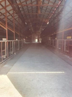 Vând fermă zootehnică utilată, 1000 m  construiți, comuna Dulceanca, sat Vedea   Teleorman - imagine 3 Vând fermă zootehnică utilată, 1000 m  construiți, comuna Dulceanca, sat Vedea   Teleorman - imagine 3