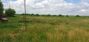 Vând fermă zootehnică utilată, 1000 m  construiți, comuna Dulceanca, sat Vedea   Teleorman - imagine 9 Vând fermă zootehnică utilată, 1000 m  construiți, comuna Dulceanca, sat Vedea   Teleorman - imagine 9