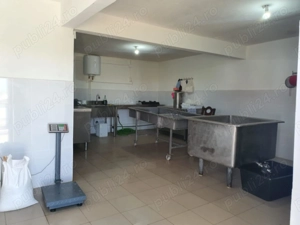 Vând fermă zootehnică utilată, 1000 m  construiți, comuna Dulceanca, sat Vedea   Teleorman - imagine 6 Vând fermă zootehnică utilată, 1000 m  construiți, comuna Dulceanca, sat Vedea   Teleorman - imagine 6