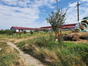 Vând fermă zootehnică utilată, 1000 m  construiți, comuna Dulceanca, sat Vedea   Teleorman - imagine 5 Vând fermă zootehnică utilată, 1000 m  construiți, comuna Dulceanca, sat Vedea   Teleorman - imagine 5