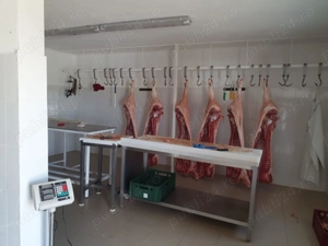 Vând fermă zootehnică utilată, 1000 m  construiți, comuna Dulceanca, sat Vedea   Teleorman - imagine 7 Vând fermă zootehnică utilată, 1000 m  construiți, comuna Dulceanca, sat Vedea   Teleorman - imagine 7